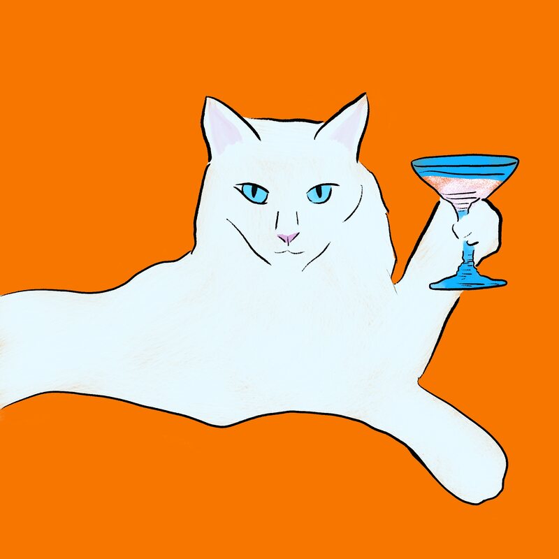 La gata