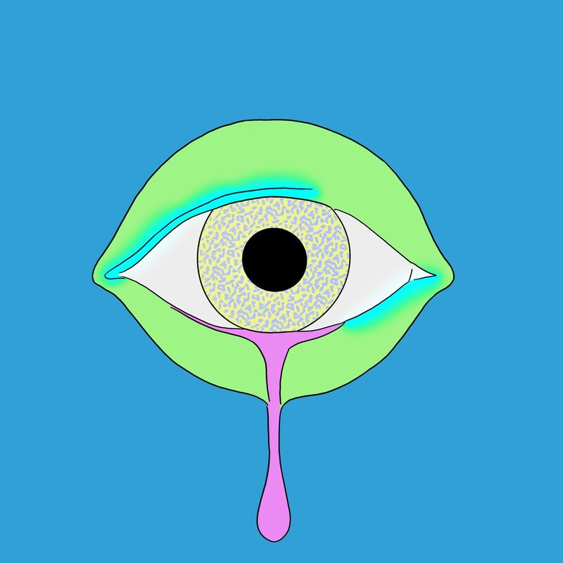 El ojo